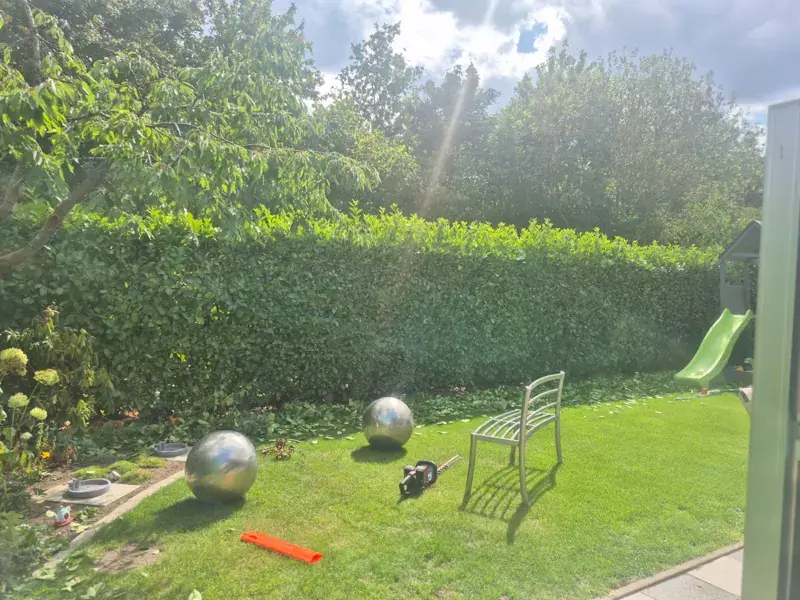 Garten mit frisch geschnittener Hecke und gemähtem Rasen