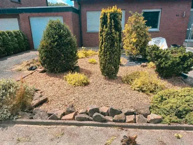 Gepflegter Vorgarten mit Koniferen und Kies